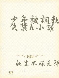 少年被调教爽到失禁h小说