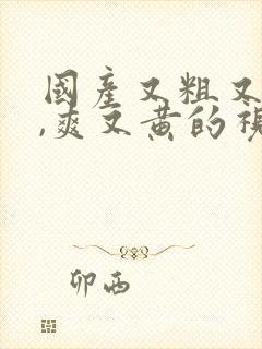 国产又粗又猛又,爽又黄的视频