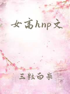 女高hnp文