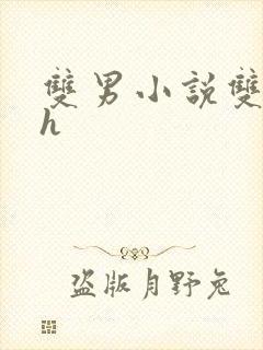 双男小说双性高h