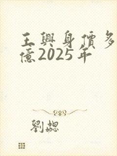 王兴身价多少个亿2025年