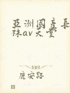 亚洲国产长腿丝袜av天堂