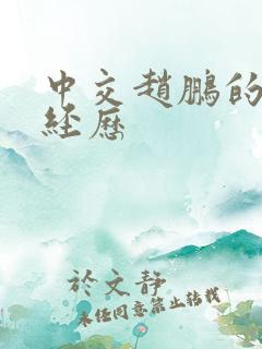 中交赵鹏的任职经历