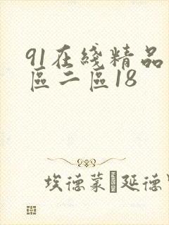91在线精品一区二区18