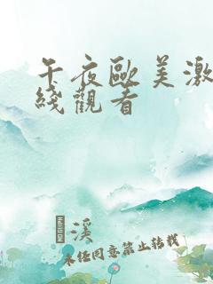 午夜欧美激情在线观看