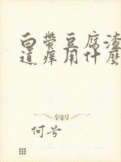 白带豆腐渣状阴道痒用什么药