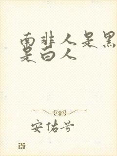 南非人是黑人还是白人