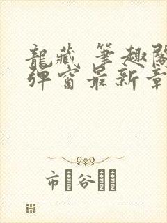 龙藏 笔趣阁无弹窗最新章节