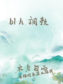 bl h 调教
