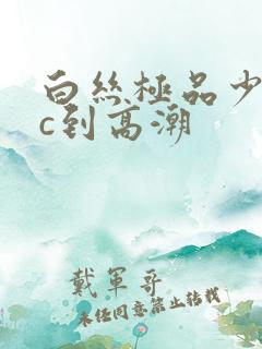 白丝极品少萝被c到高潮