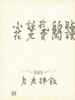 小说我的贴身校花免费阅读原文