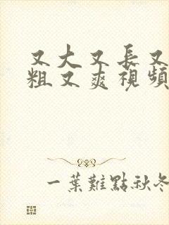 又大又长又硬又粗又爽视频