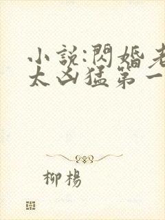 小说:闪婚老公太凶猛第一部