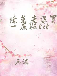 亿万老婆买一送一原版txt
