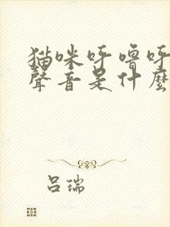 猫咪呼噜呼噜的声音是什么意思