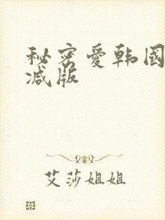 秘密爱韩国无删减版