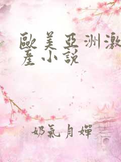 欧美亚洲激情国产小说