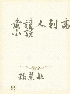 黄让人到高潮的小说