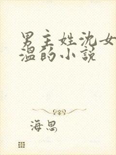 男主姓沈女主姓温的小说
