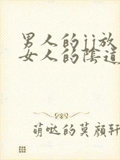 男人的jj放到女人的阴道里视频