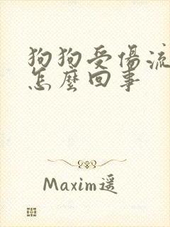 狗狗受伤流口水怎么回事