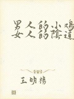 男人的小鸡插进女人的阴道里面视频