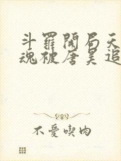 斗罗开局天使武魂被唐昊追杀