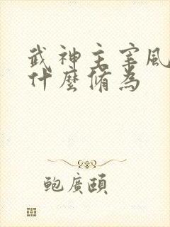 武神主宰风少羽什么修为