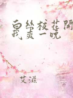 白丝校花开腿让我爽一晚