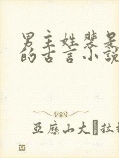 男主姓裴是世子的古言小说