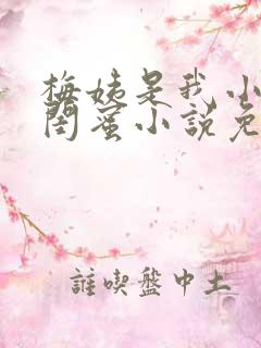 梅姨是我小妈的闺蜜小说免费阅读全文