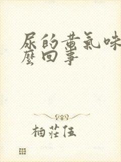 尿的黄气味大怎么回事