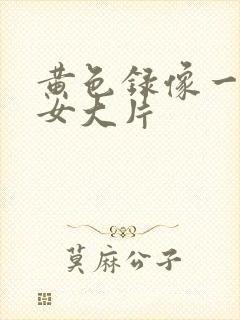 黄色录像一级美女大片