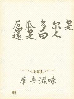 厄瓜多尔是黑人还是白人