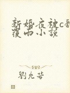 新婚夜被c翻云覆雨小说