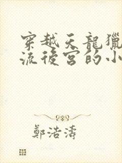 穿越天龙猎艳风流后宫的小说