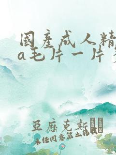 国产成人精品aa毛片一片多