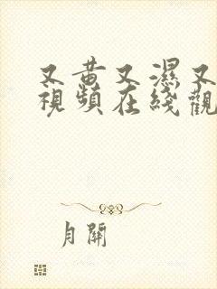 又黄又湿又爽的视频在线观看