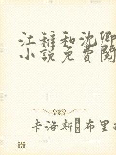 江稚和沈卿尘的小说免费阅读