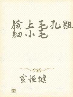 脸上毛孔粗大长细小毛