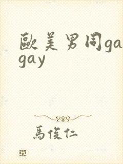 欧美男同gaygay