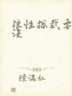 狼性总裁要够了没