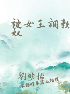 被女王调教的男奴