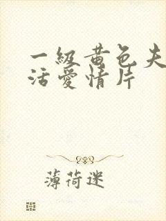 一级黄色夫妻生活爱情片