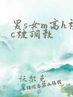 男s女m高h被c被调教
