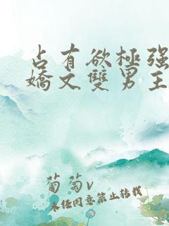 占有欲极强的病娇文双男主