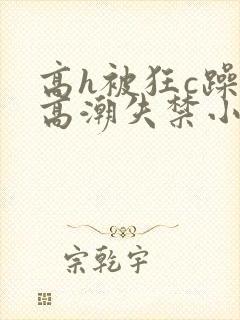 高h被狂c躁到高潮失禁小说