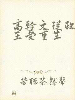 高干文从政双男主受重生