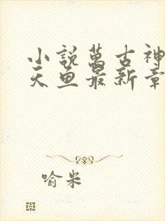 小说万古神帝飞天鱼最新章节目录