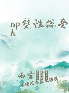 np双性总受高h